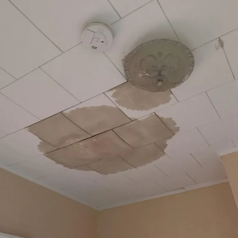 Ceiling Water Damage Repair in Lake Clarke Shores, FL
