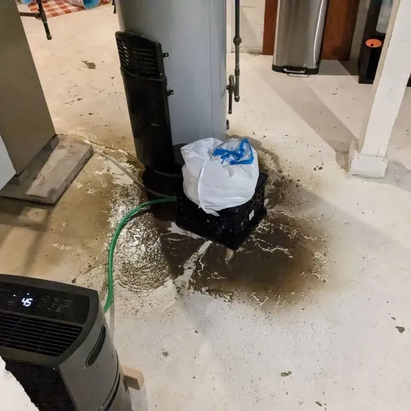 Sewage Backup Cleanup Service in Lake Clarke Shores, FL
